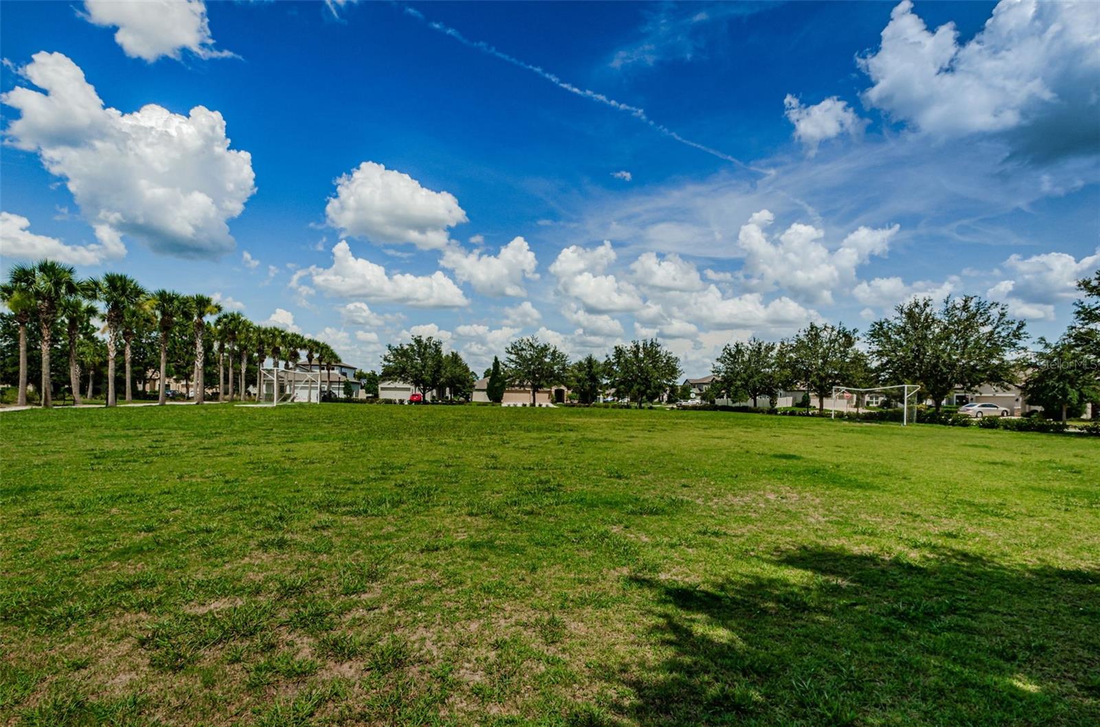 21654 BILLOWY JAUNT DR, LAND O LAKES, FL, 34637