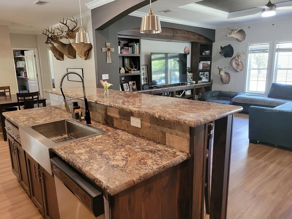 22397 MONDON HILL RD, BROOKSVILLE, FL, 34601