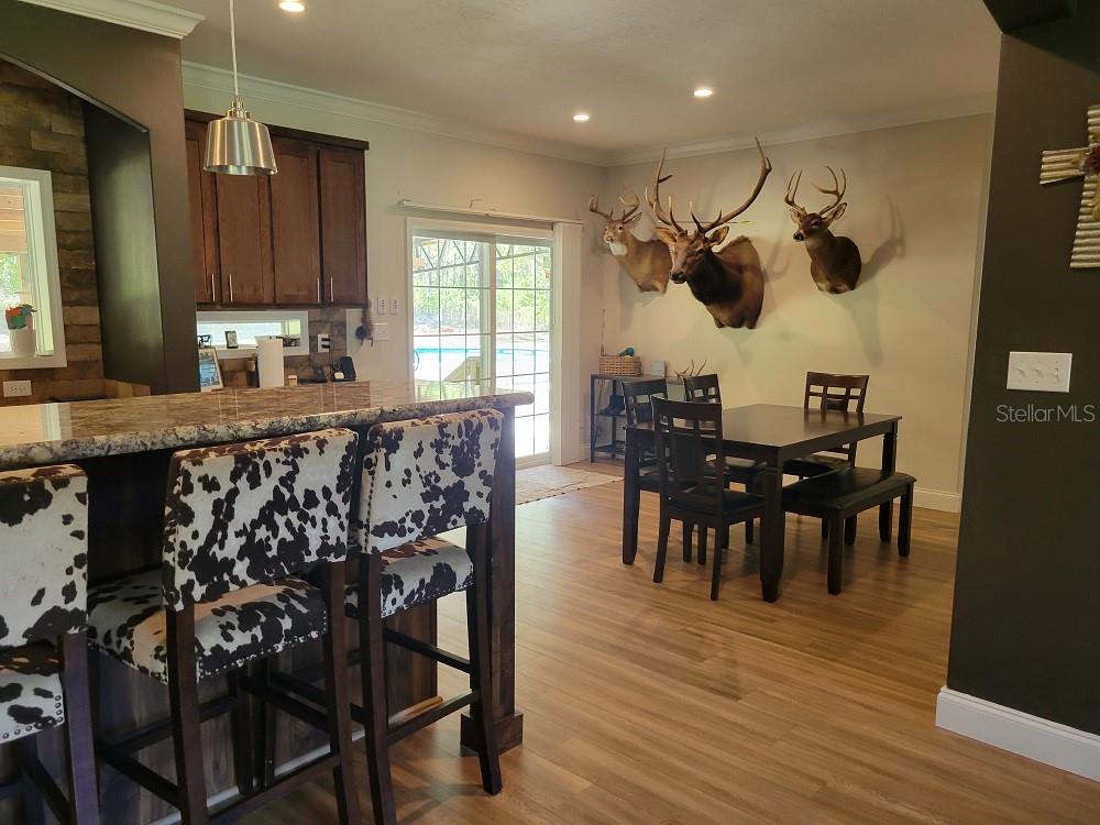 22397 MONDON HILL RD, BROOKSVILLE, FL, 34601