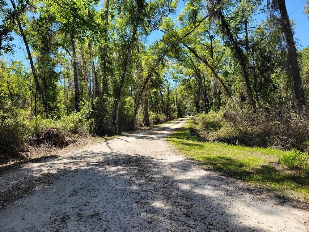 22397 MONDON HILL RD, BROOKSVILLE, FL, 34601