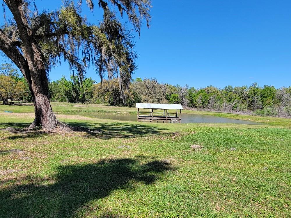 22397 MONDON HILL RD, BROOKSVILLE, FL, 34601