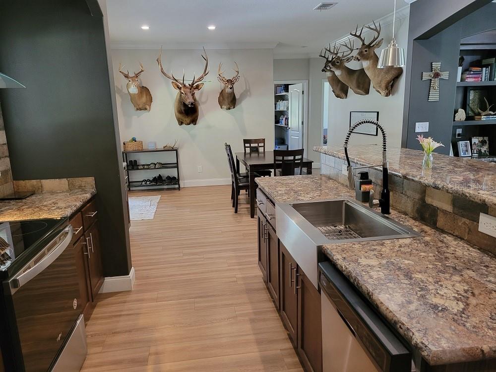 22397 MONDON HILL RD, BROOKSVILLE, FL, 34601