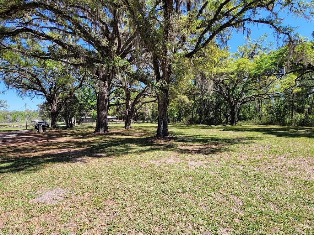 22397 MONDON HILL RD, BROOKSVILLE, FL, 34601