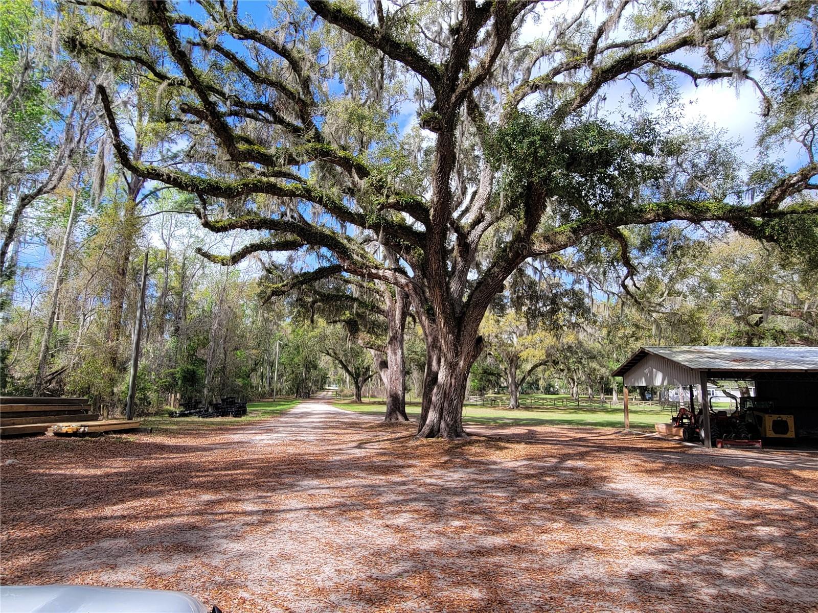 22397 MONDON HILL RD, BROOKSVILLE, FL, 34601