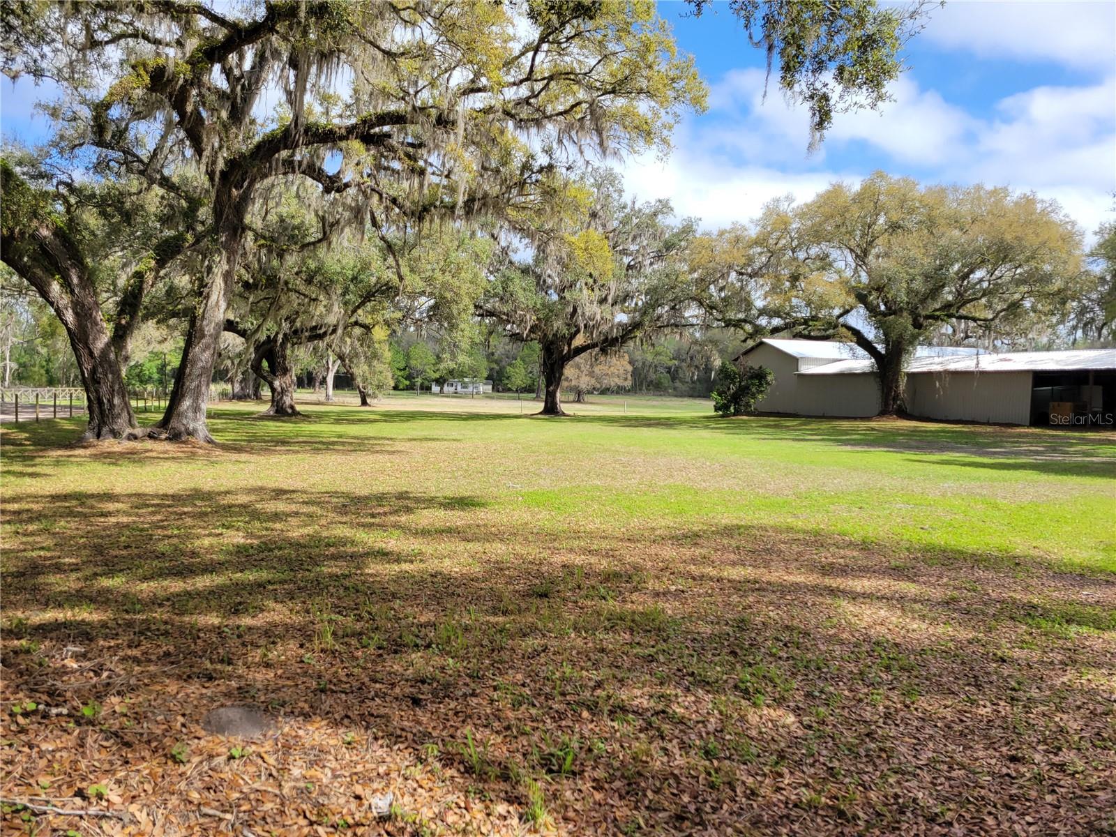 22397 MONDON HILL RD, BROOKSVILLE, FL, 34601