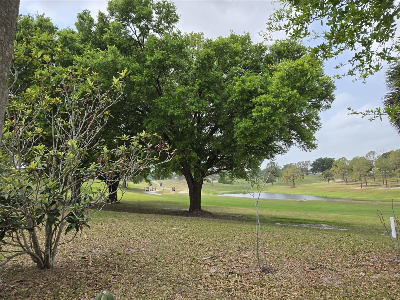 2458 PUTTER RD #1610, ZELLWOOD, FL, 32798