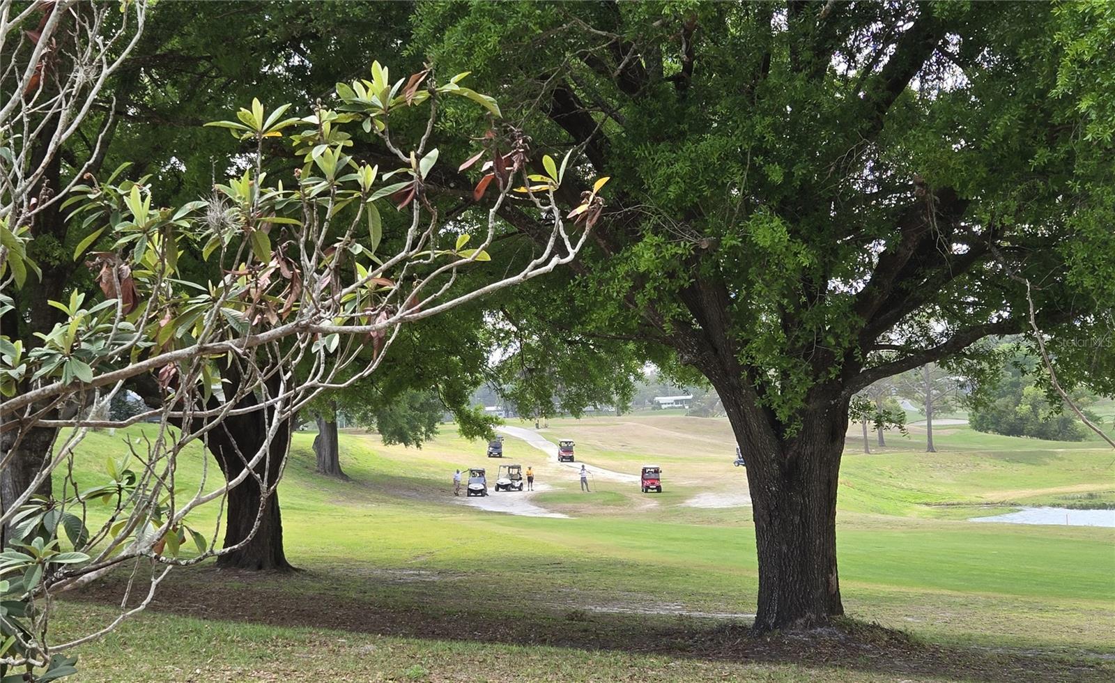 2458 PUTTER RD #1610, ZELLWOOD, FL, 32798