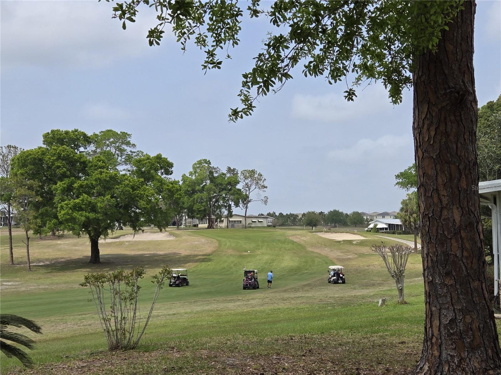 2458 PUTTER RD #1610, ZELLWOOD, FL, 32798