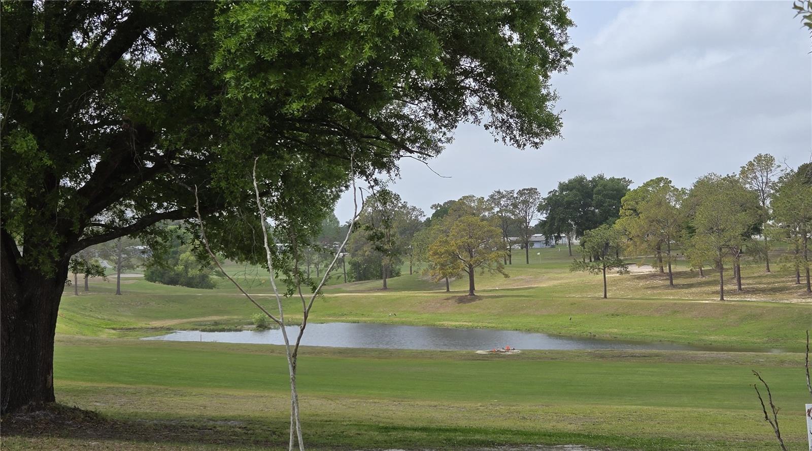 2458 PUTTER RD #1610, ZELLWOOD, FL, 32798