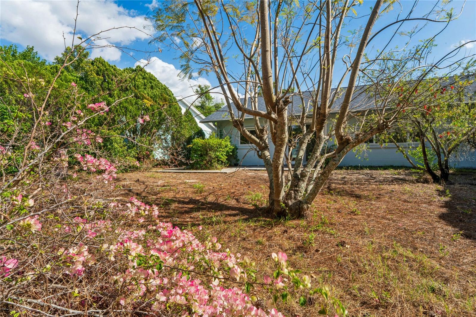 4251 WOODFIELD AVE, HOLIDAY, FL, 34691