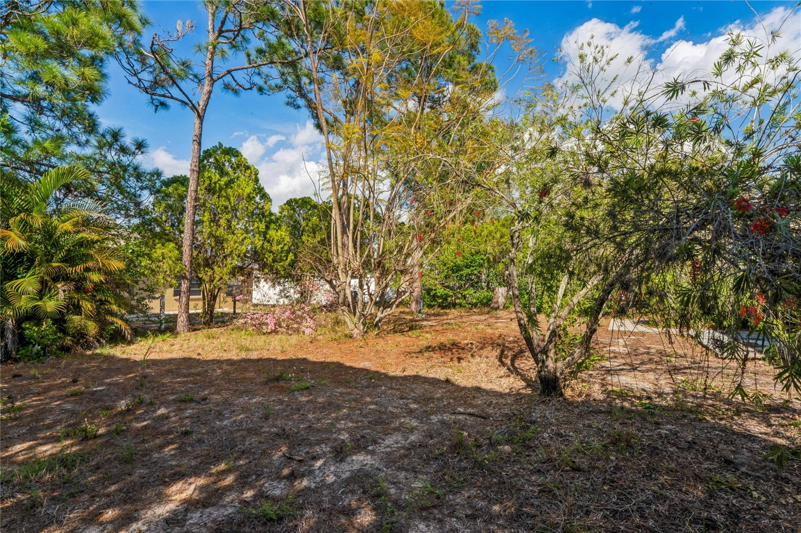 4251 WOODFIELD AVE, HOLIDAY, FL, 34691