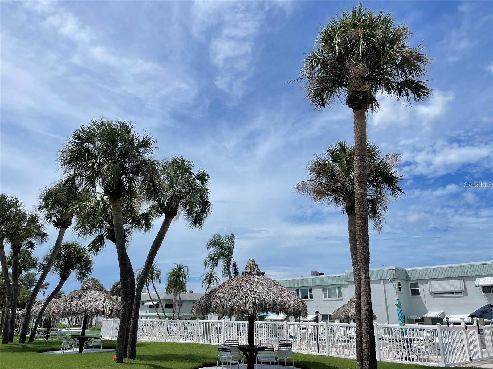 5357 81ST ST N #24, ST PETERSBURG, FL, 33709