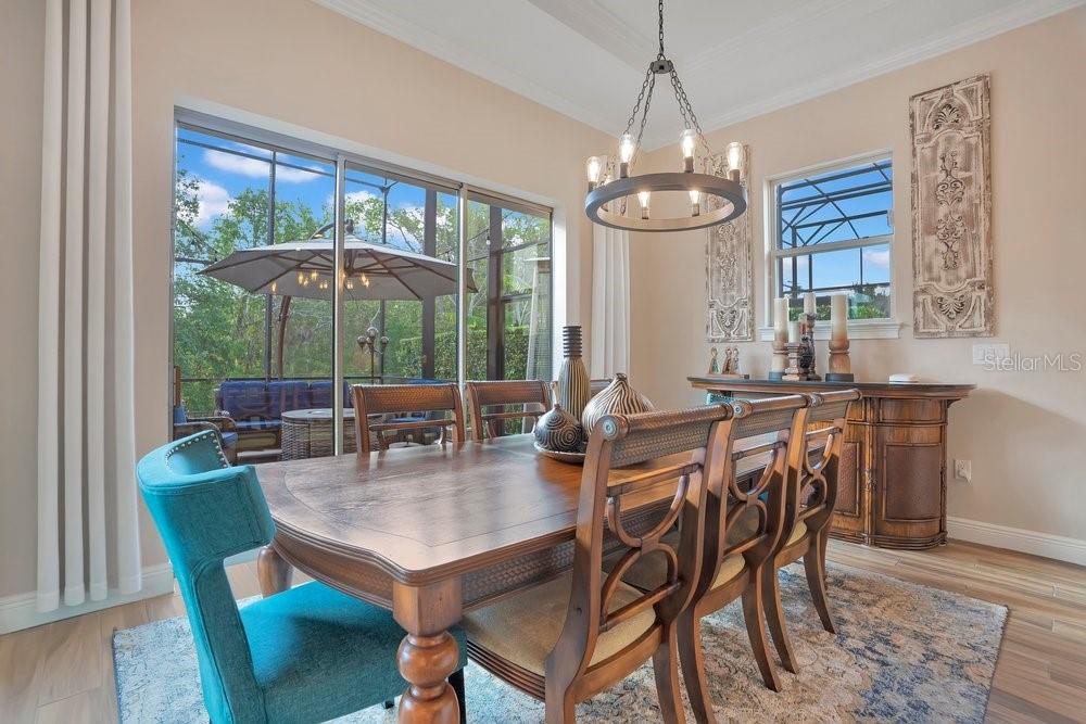 743 CANOPY ESTATES DR, WINTER GARDEN, FL, 34787