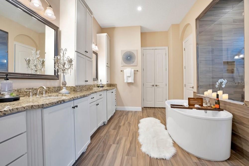 743 CANOPY ESTATES DR, WINTER GARDEN, FL, 34787