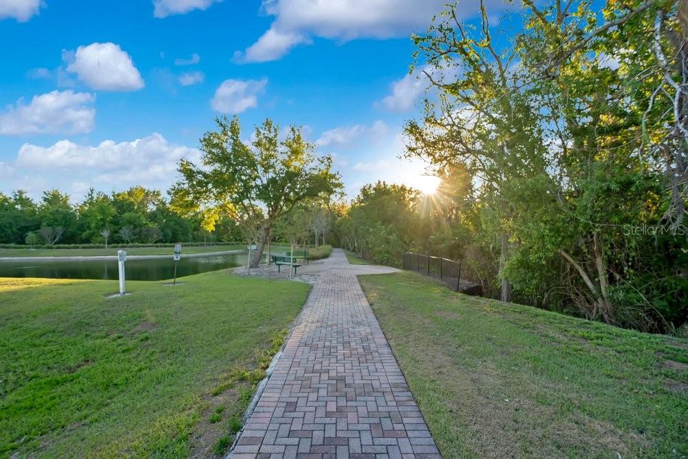 743 CANOPY ESTATES DR, WINTER GARDEN, FL, 34787