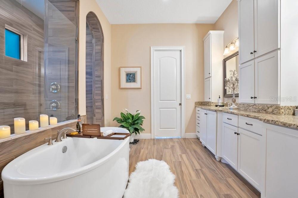 743 CANOPY ESTATES DR, WINTER GARDEN, FL, 34787