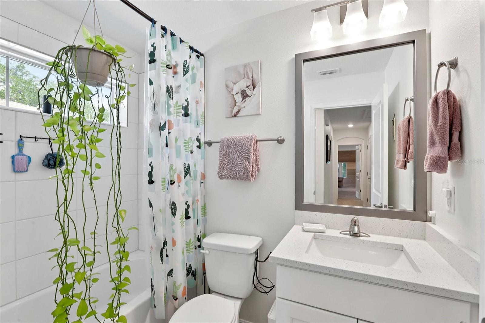 798 46TH AVE N, ST PETERSBURG, FL, 33703
