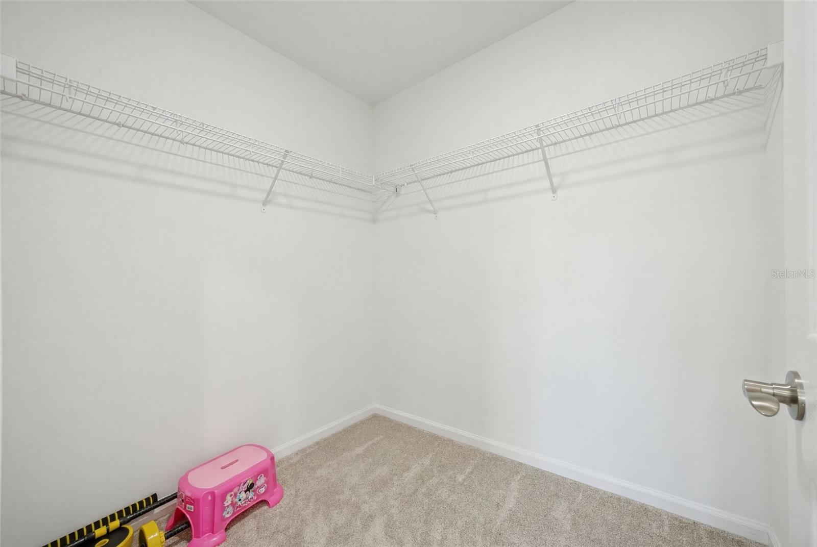 7792 NOTCHED PINE BND, WESLEY CHAPEL, FL, 33545