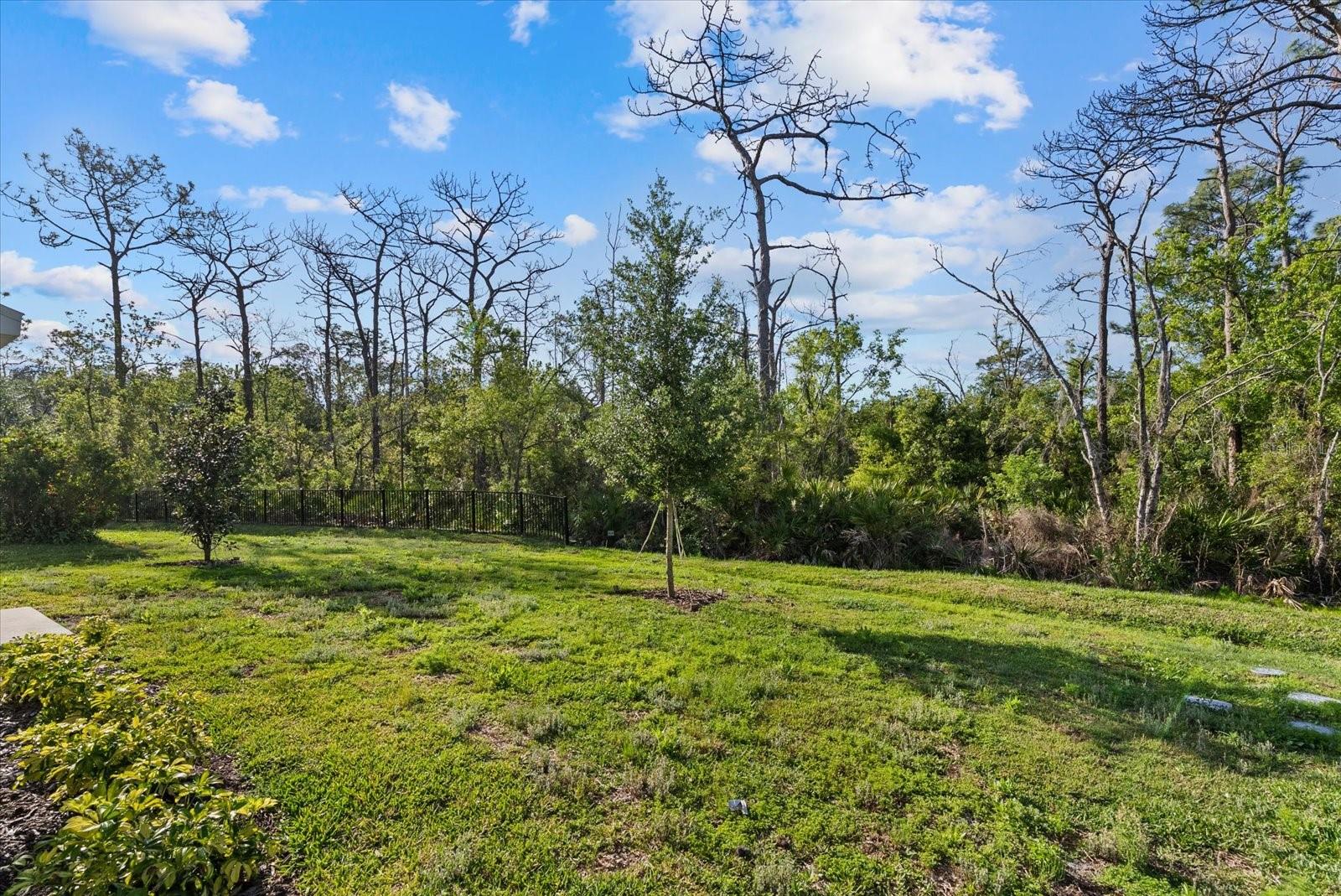 13925 LILAC SKY TER, BRADENTON, FL, 34211
