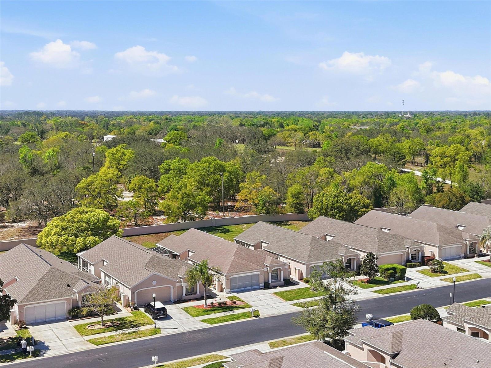 363 ROYAL PALM WAY, SPRING HILL, FL, 34608