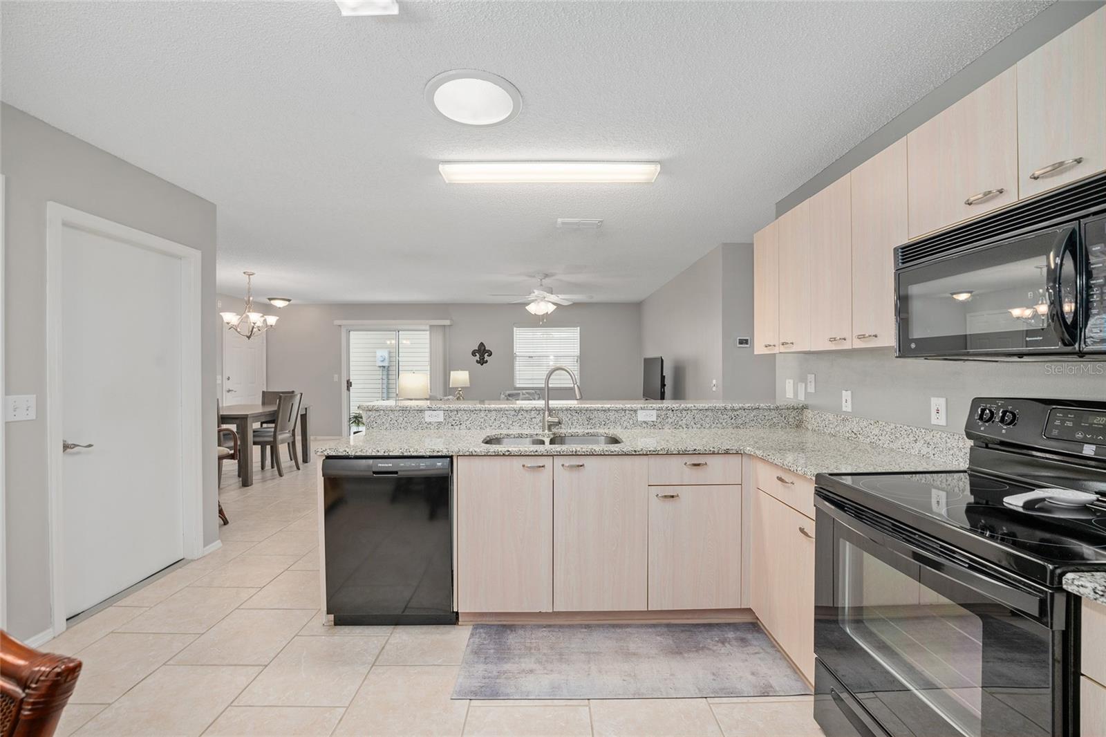 1647 CAMPOS DR, THE VILLAGES, FL, 32162