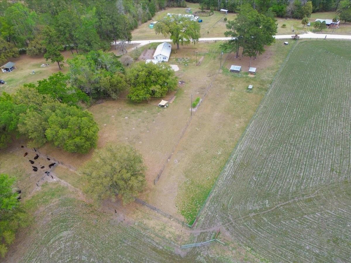 11956 SW 160TH AVE, BROOKER, FL, 32622