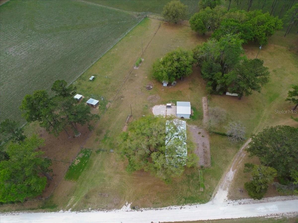 11956 SW 160TH AVE, BROOKER, FL, 32622