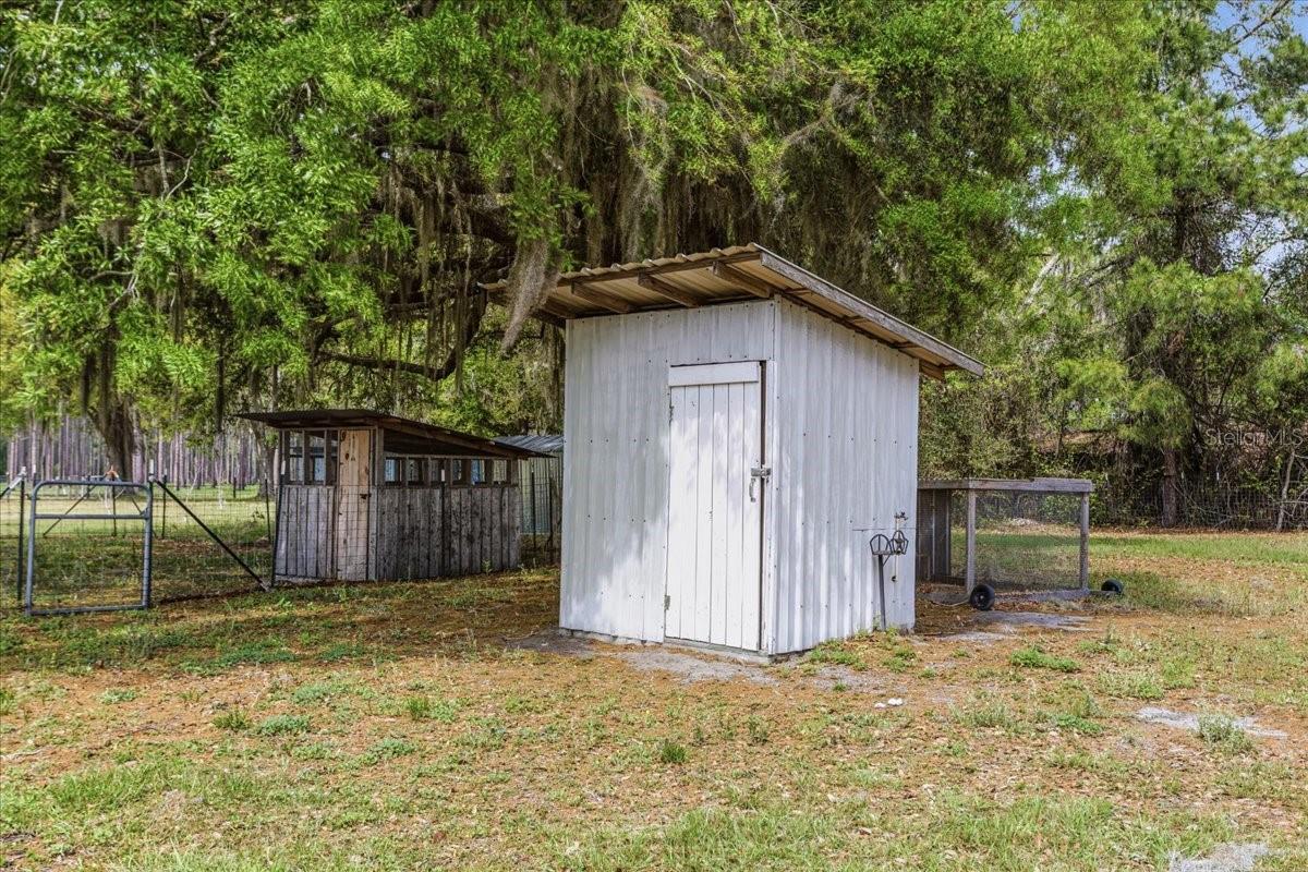 11956 SW 160TH AVE, BROOKER, FL, 32622