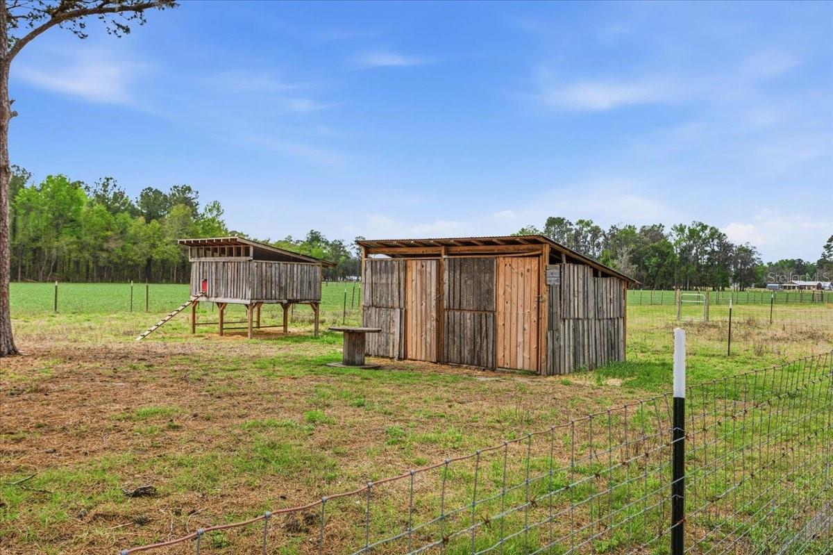 11956 SW 160TH AVE, BROOKER, FL, 32622