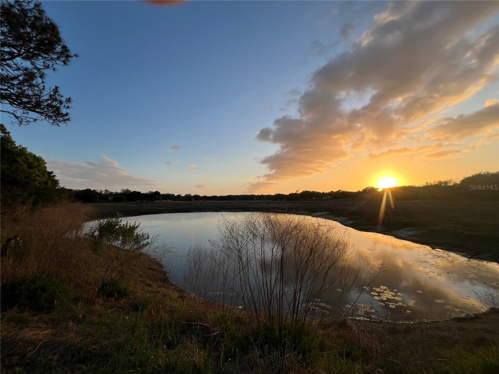 1021 WATERFALL DR, SPRING HILL, FL, 34608