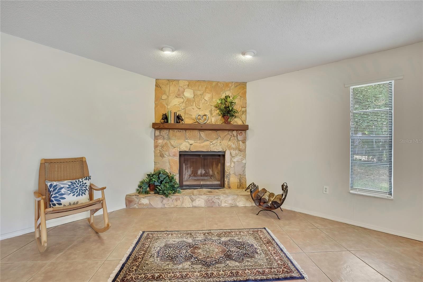 Wood Burning Fireplace