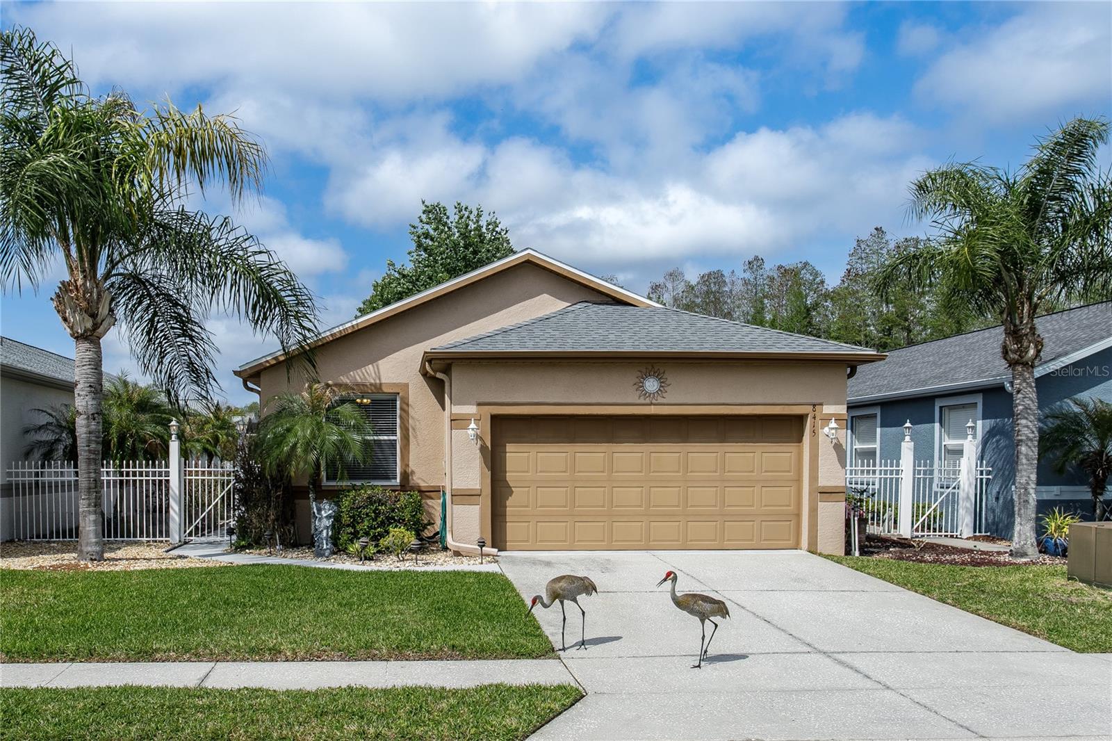 8415 TAROCCO CT, LAND O LAKES, FL, 34637