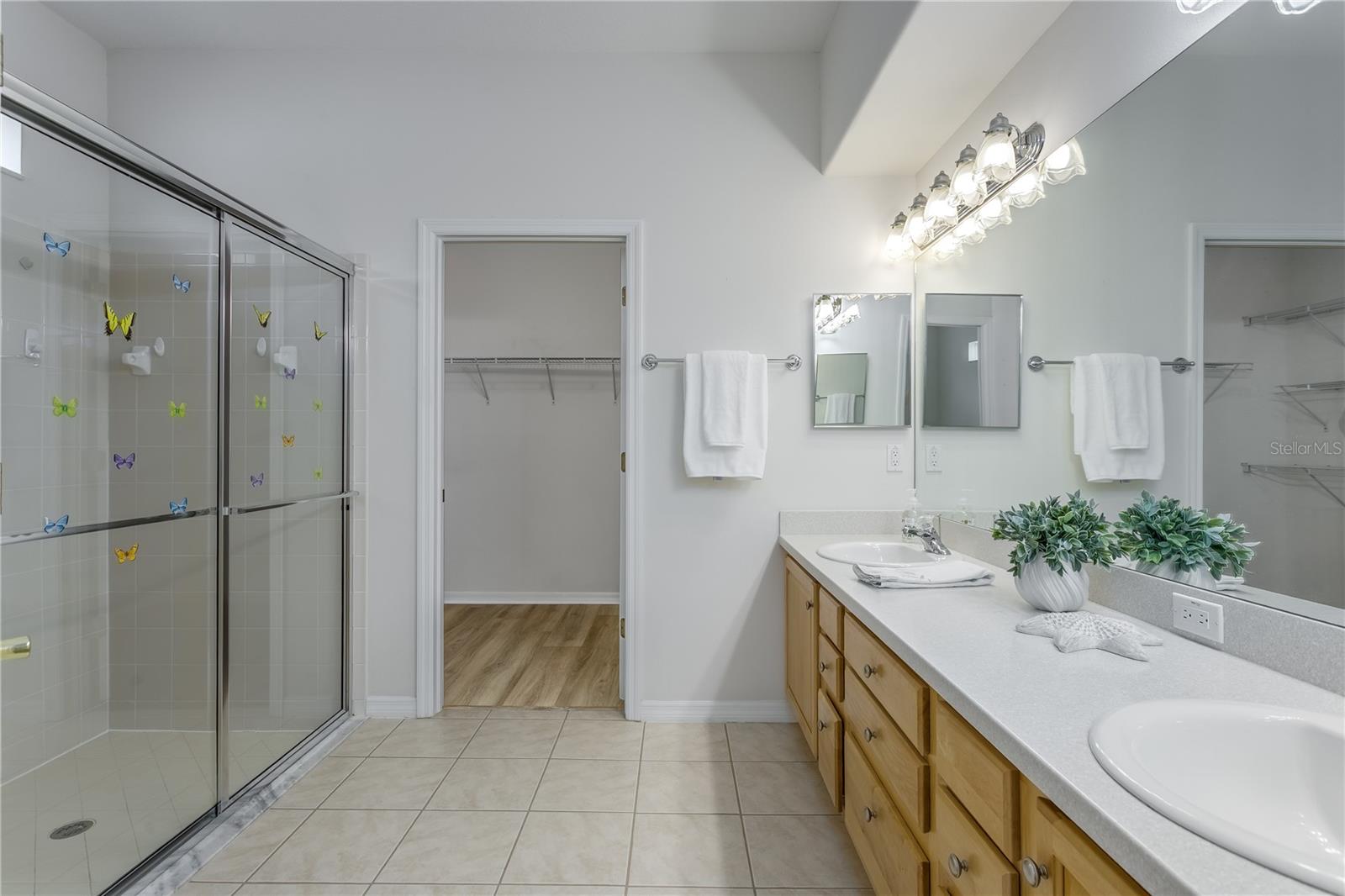 8415 TAROCCO CT, LAND O LAKES, FL, 34637