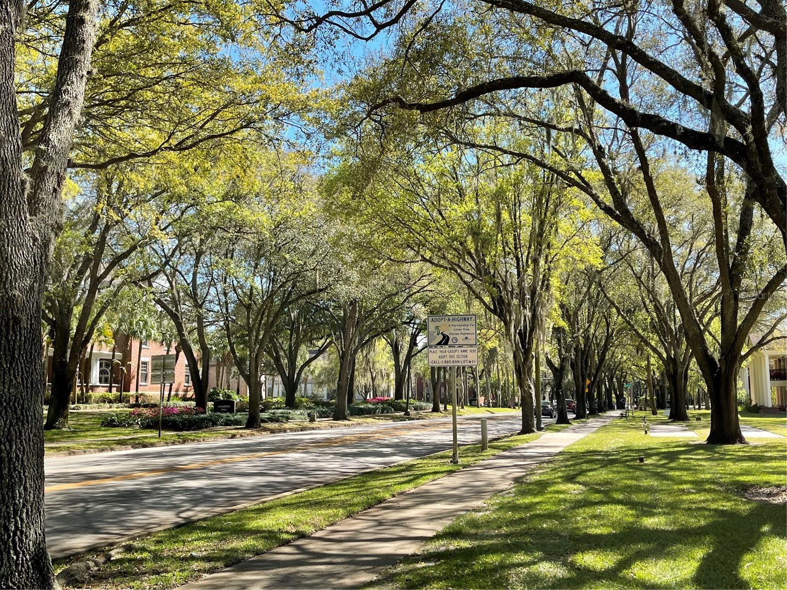906 E MICHIGAN AVE, DELAND, FL, 32724