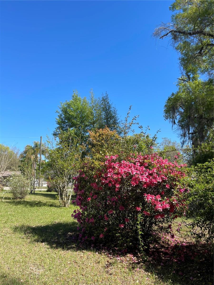 906 E MICHIGAN AVE, DELAND, FL, 32724