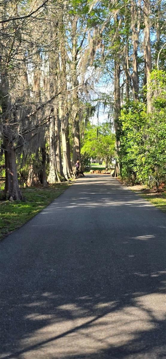 145 THORNBERRY DR, CASSELBERRY, FL, 32707