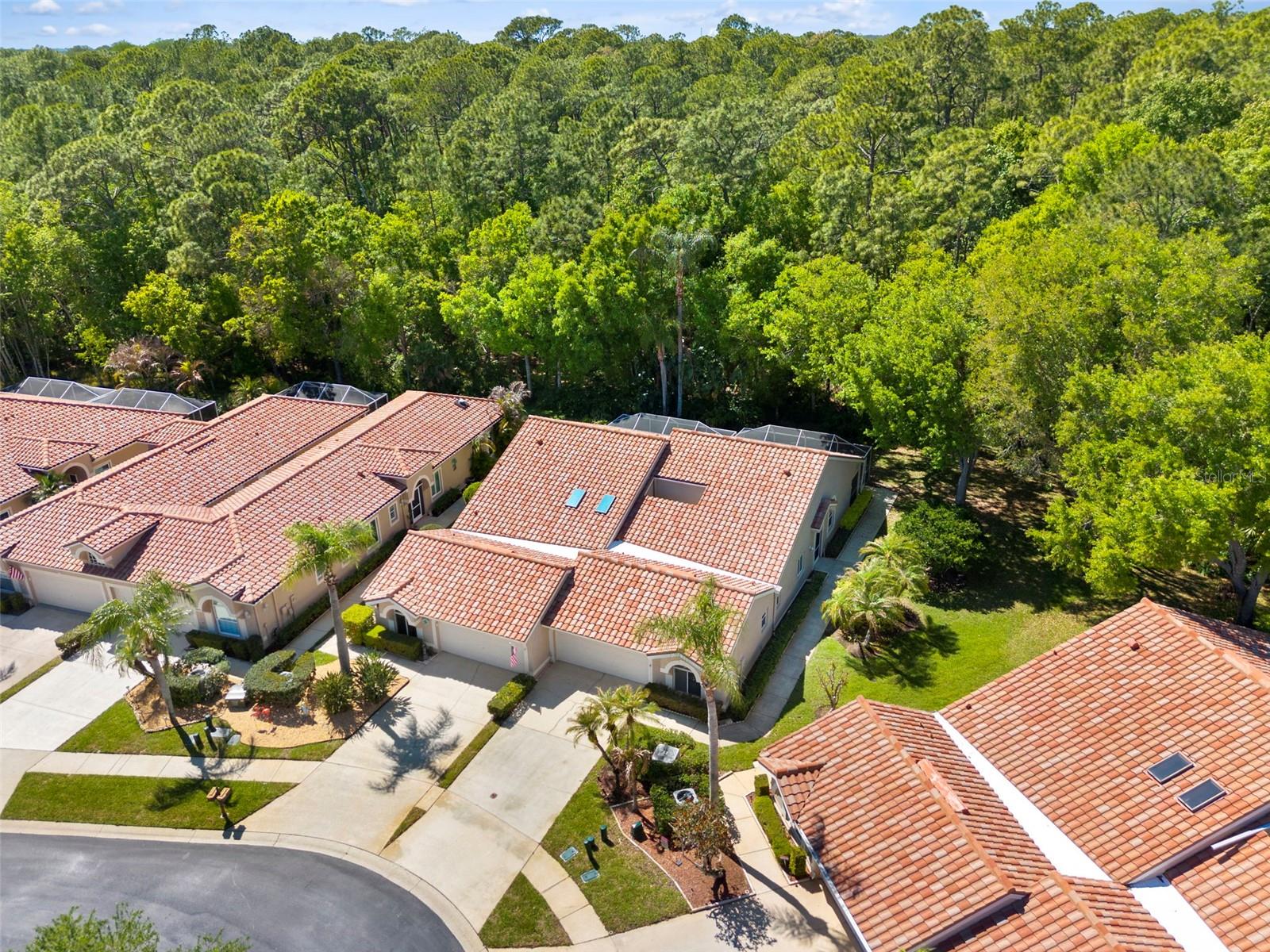 3810 DARSTON ST, PALM HARBOR, FL, 34685