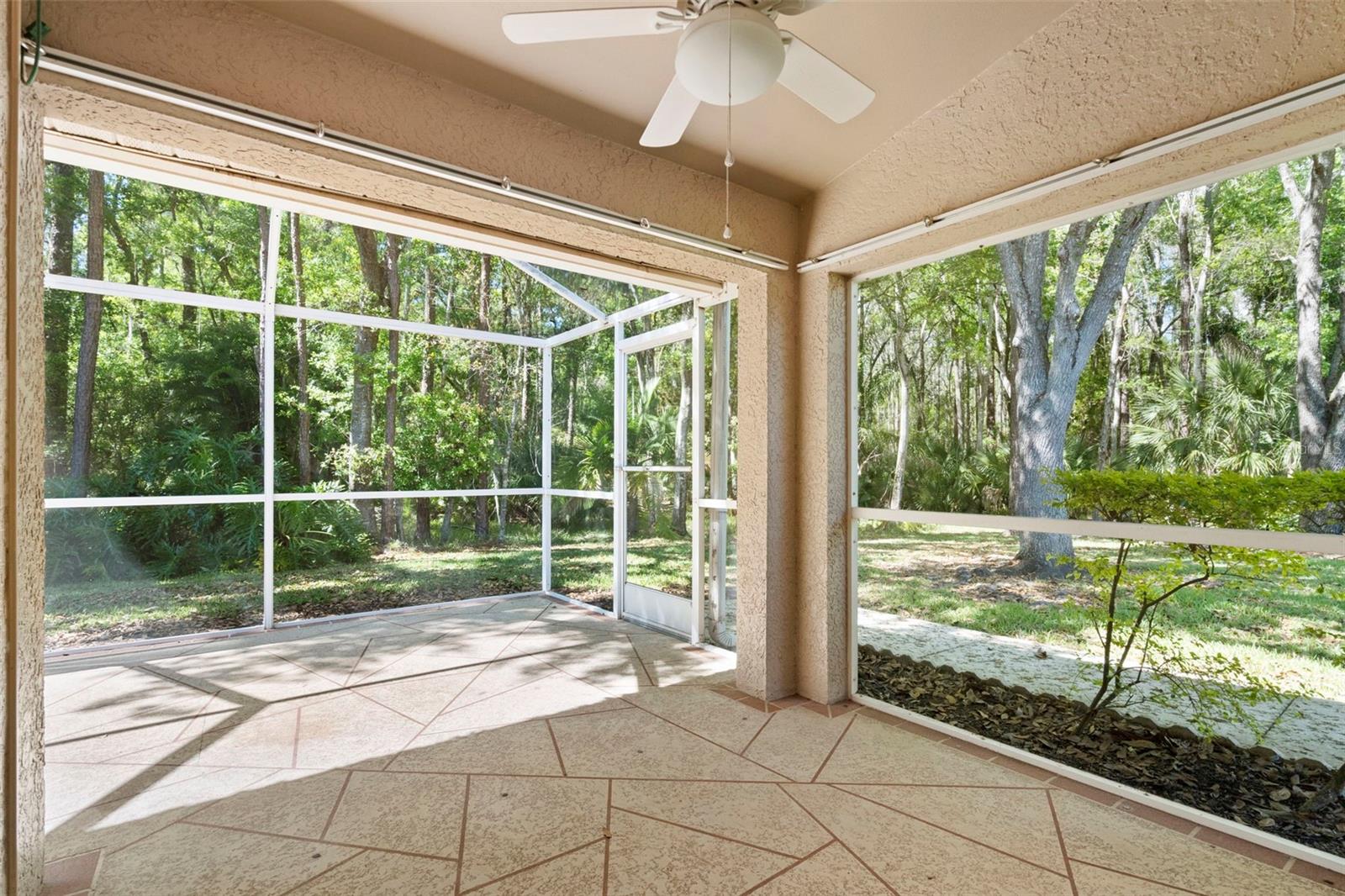 3810 DARSTON ST, PALM HARBOR, FL, 34685