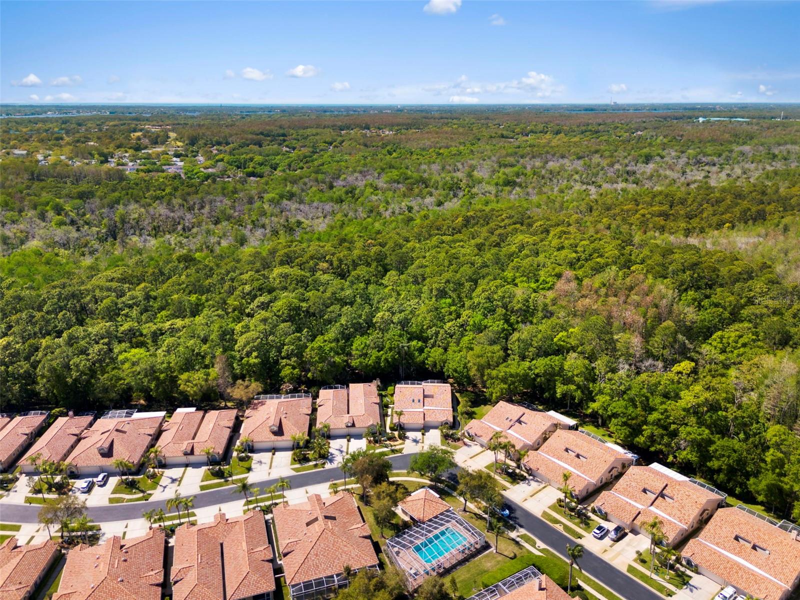 3810 DARSTON ST, PALM HARBOR, FL, 34685