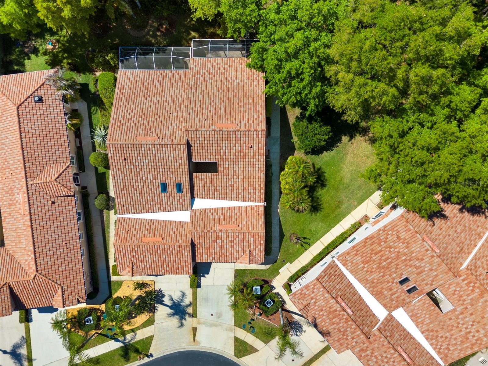 3810 DARSTON ST, PALM HARBOR, FL, 34685