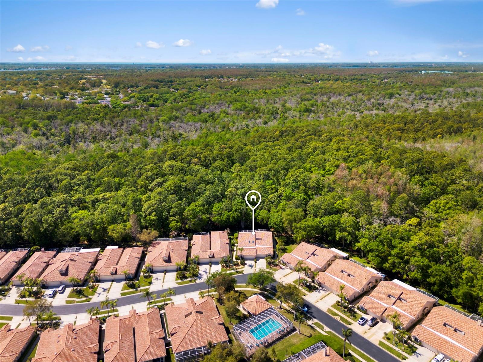 3810 DARSTON ST, PALM HARBOR, FL, 34685