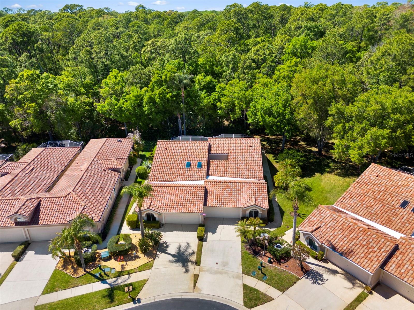 3810 DARSTON ST, PALM HARBOR, FL, 34685