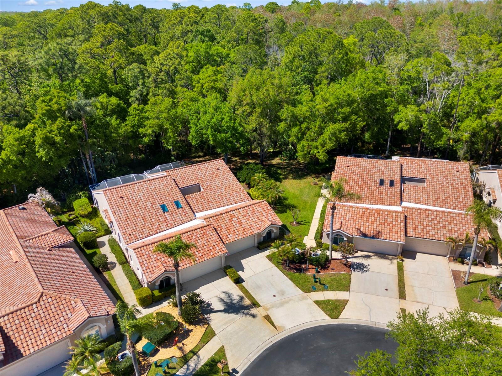 3810 DARSTON ST, PALM HARBOR, FL, 34685