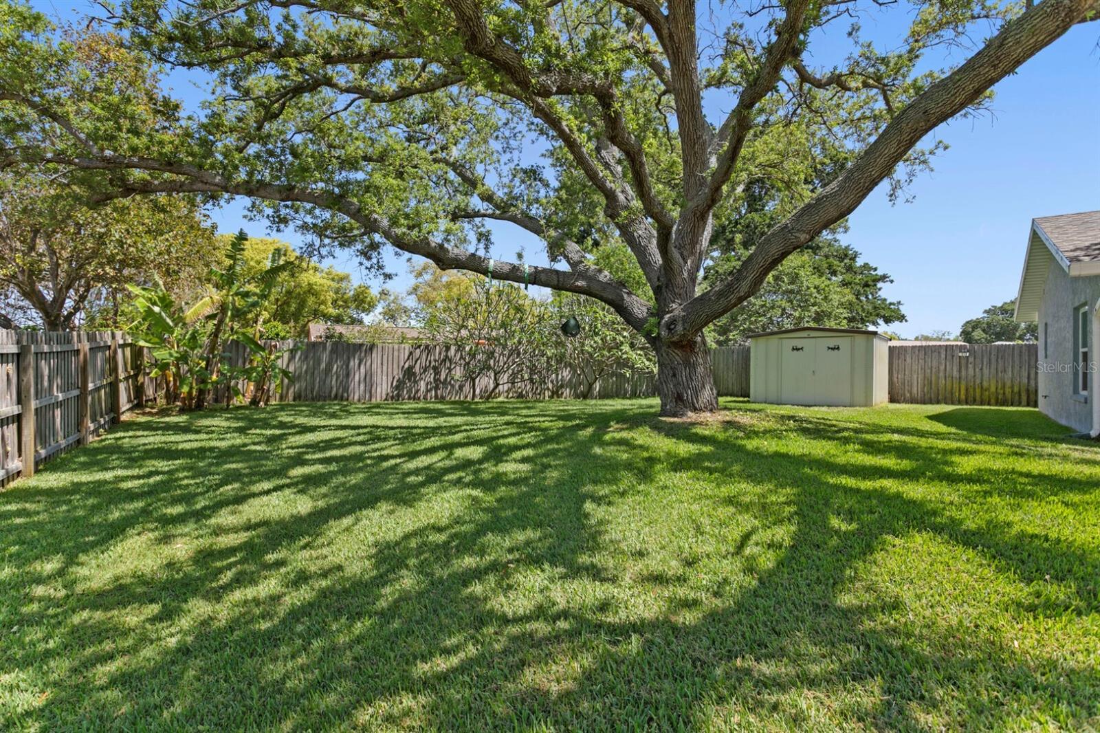 8645 PINETREE DR W, SEMINOLE, FL, 33772