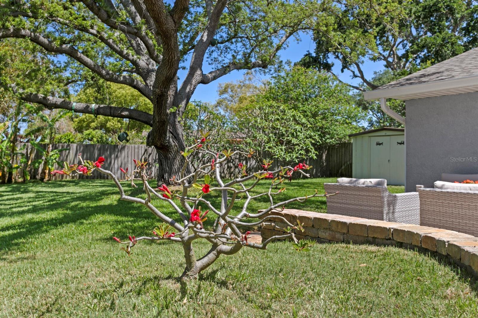 8645 PINETREE DR W, SEMINOLE, FL, 33772