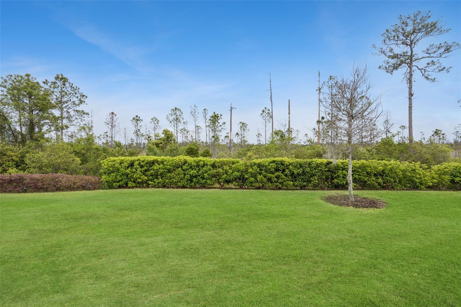 2749 CHERRY BLOSSOM LOOP, ST CLOUD, FL, 34771