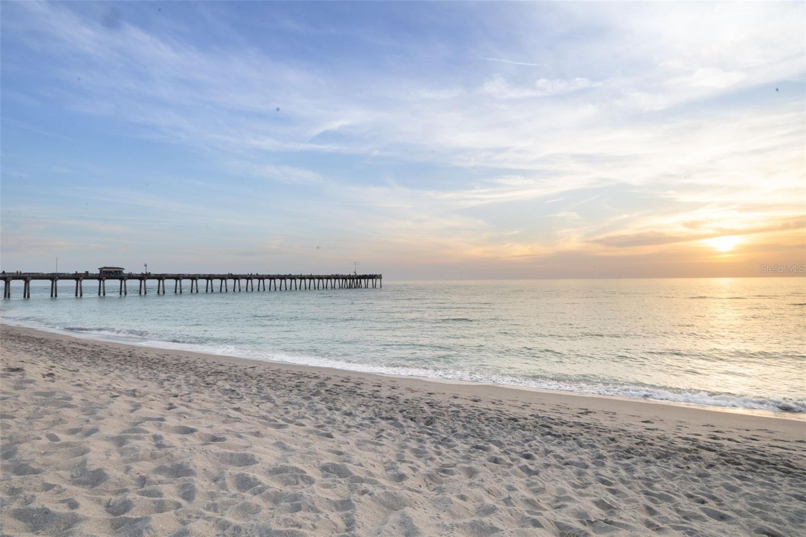 1016 SCHERER WAY, OSPREY, FL, 34229