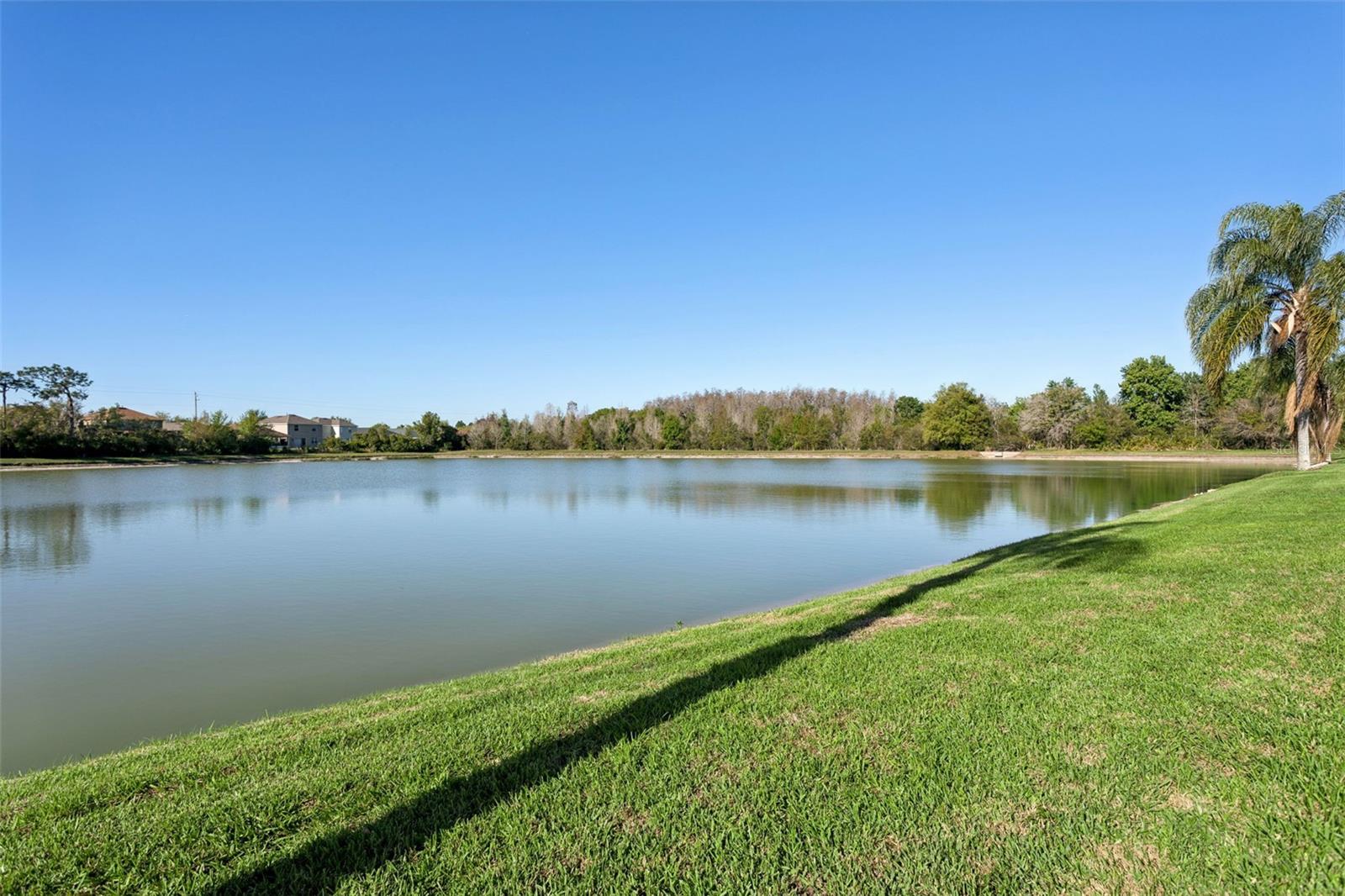 28832 RAINDANCE AVE, WESLEY CHAPEL, FL, 33543