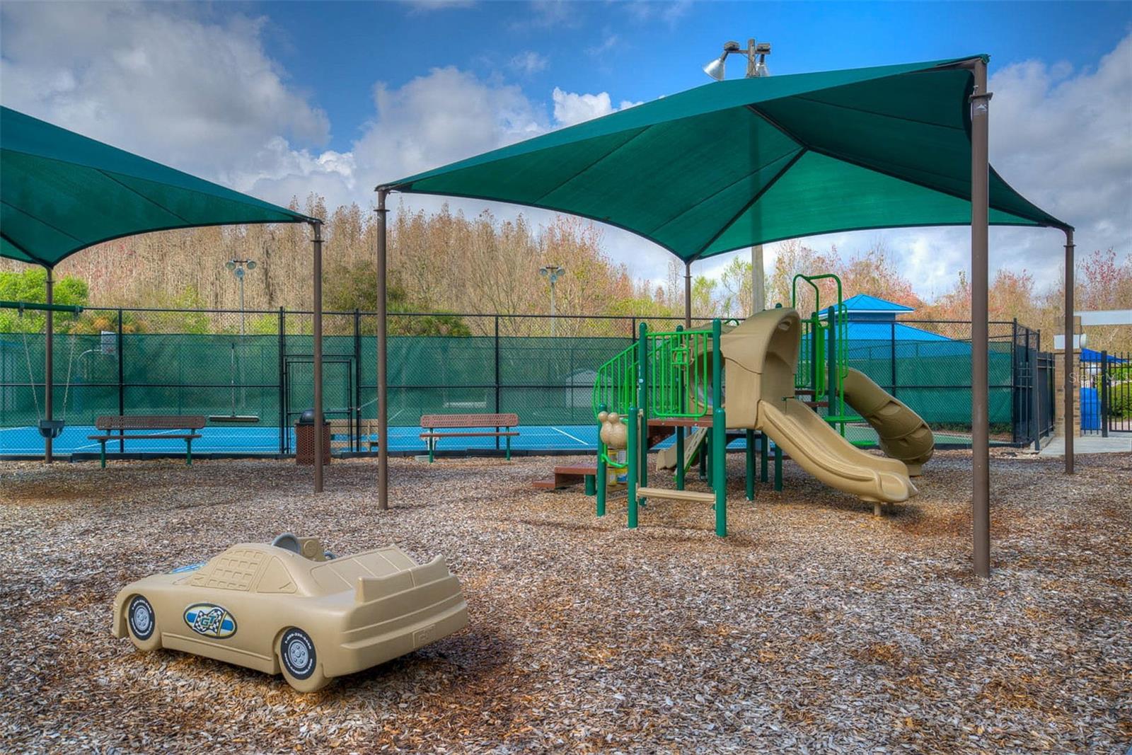 28832 RAINDANCE AVE, WESLEY CHAPEL, FL, 33543