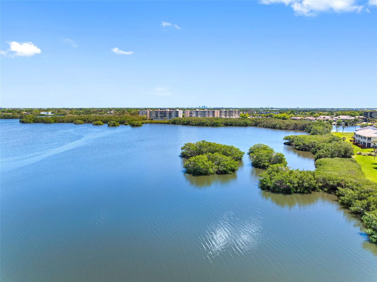 6575 99TH WAY N #22205, ST PETERSBURG, FL, 33708